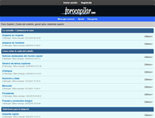 Tablet Screenshot of forocapilar.com